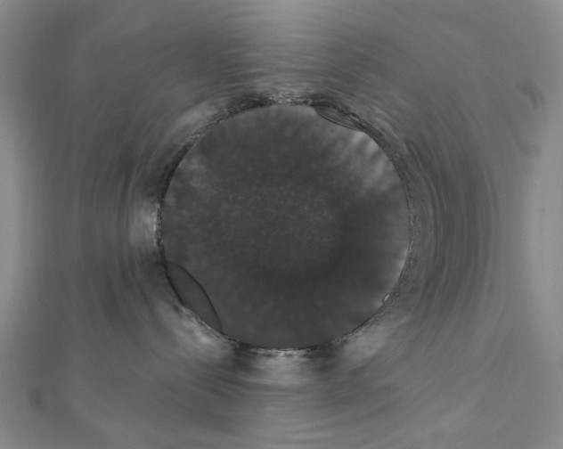 X0000111440288200908241150