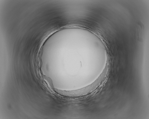 X0000111440289200908241150