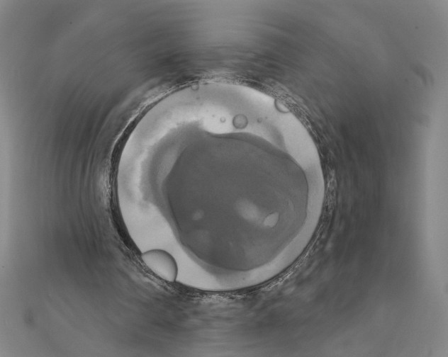X0000111440290200908241150