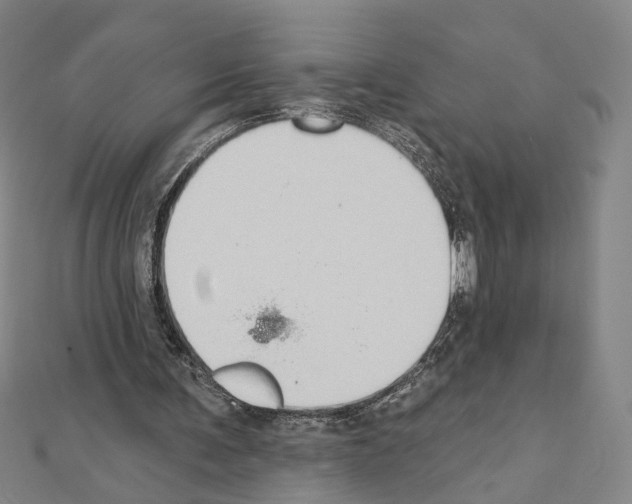 X0000111440291200908241150