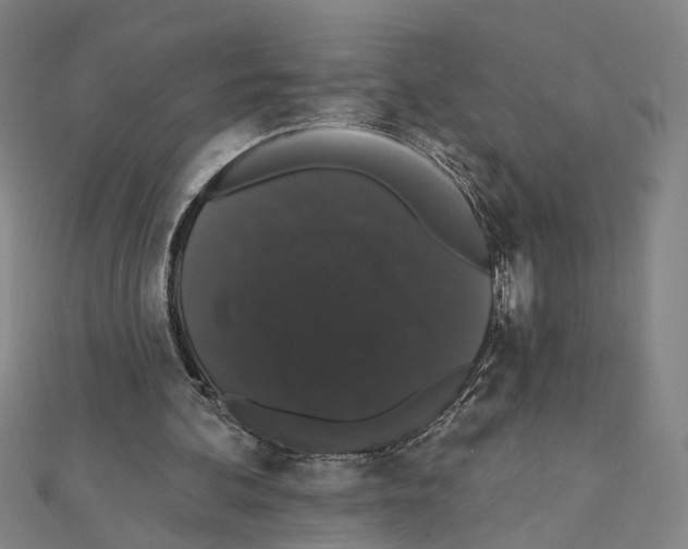 X0000111440292200908241150