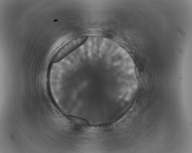 X0000111440293200908241150