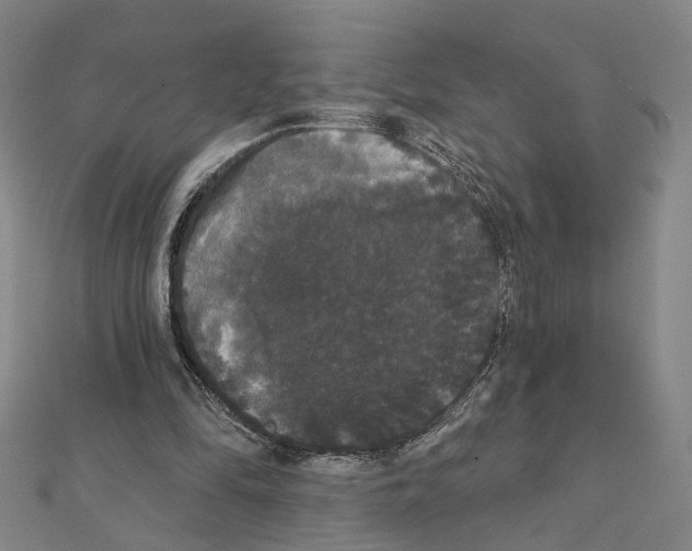 X0000111440294200908241150