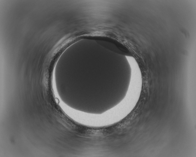 X0000111440295200908241150