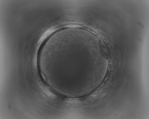 X0000111440296200908241150