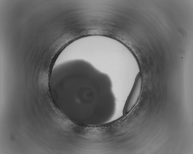X0000111440297200908241150