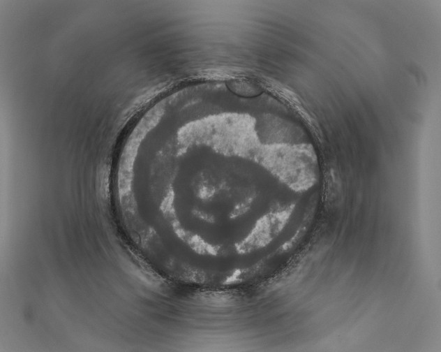 X0000111440299200908241150