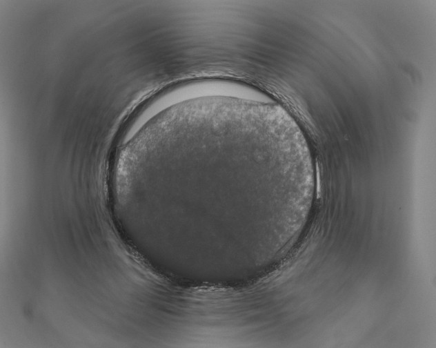 X0000111440300200908241150