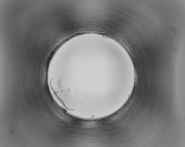 X0000111440301200908241150