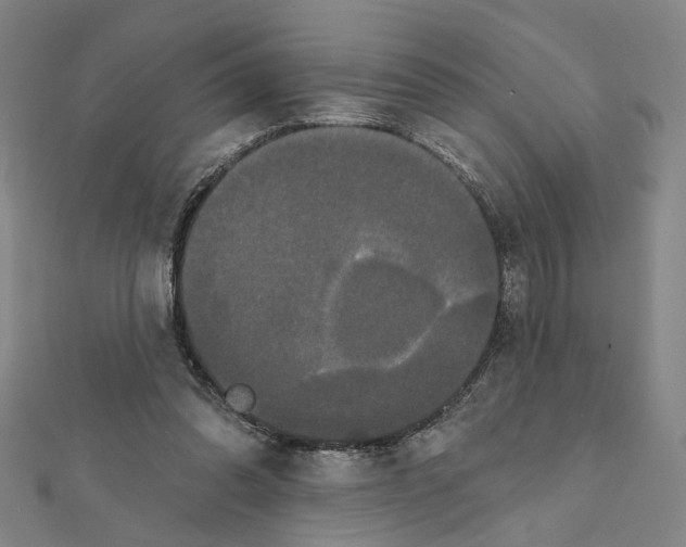 X0000111440302200908241150