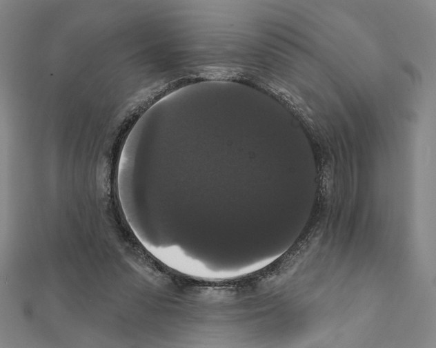 X0000111440303200908241149