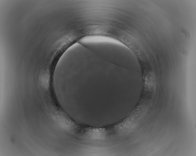 X0000111440304200908241149