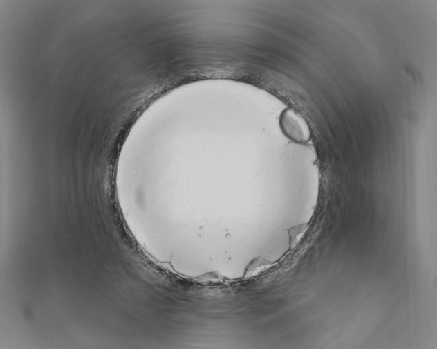 X0000111440305200908241149