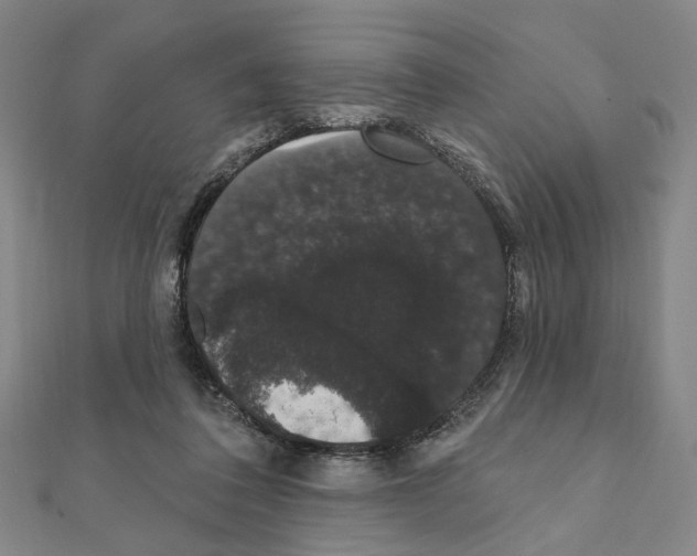 X0000111440308200908241149