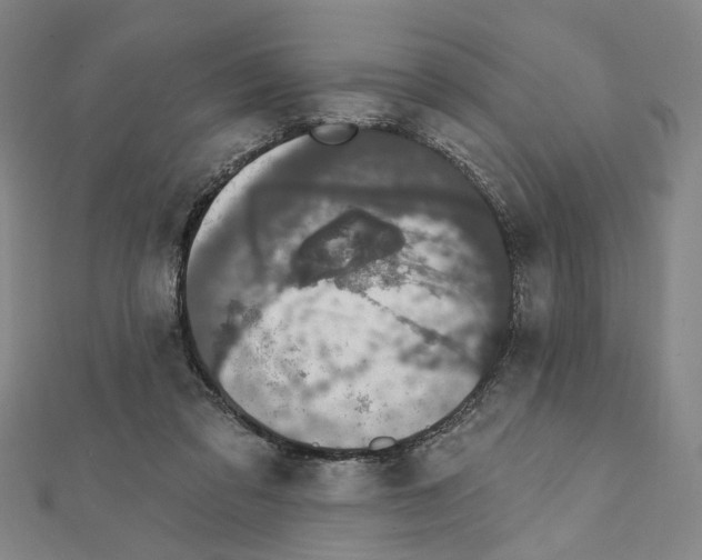 X0000111440309200908241149