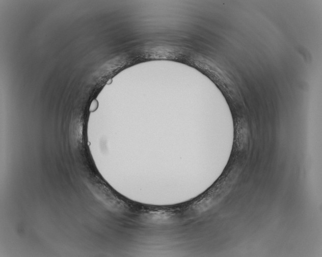 X0000111440310200908241149