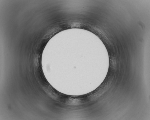 X0000111440311200908241149