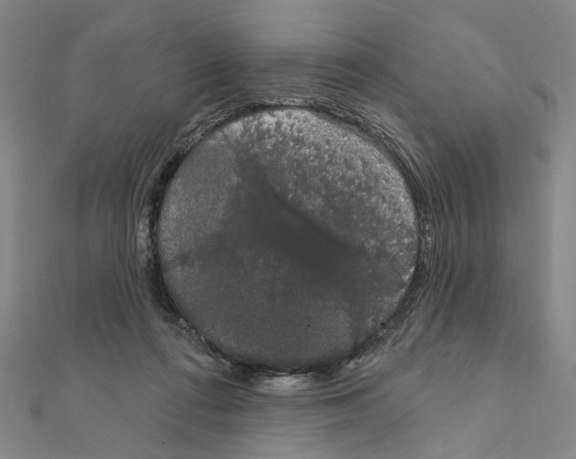 X0000111440312200908241149