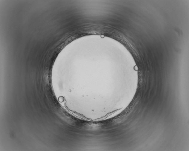 X0000111440313200908241149