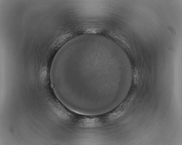 X0000111440314200908241149