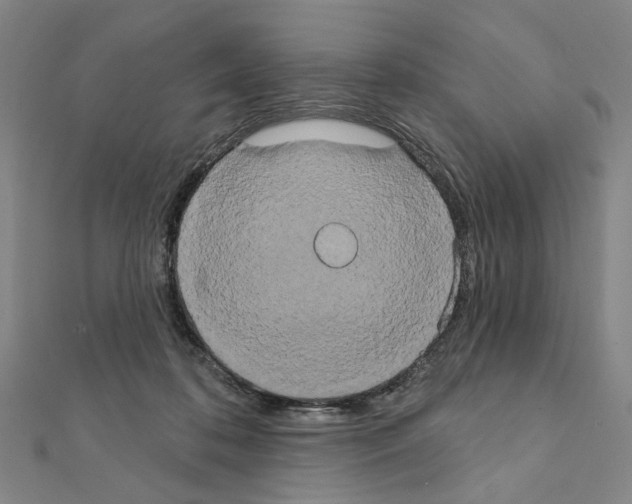 X0000111440316200908241149