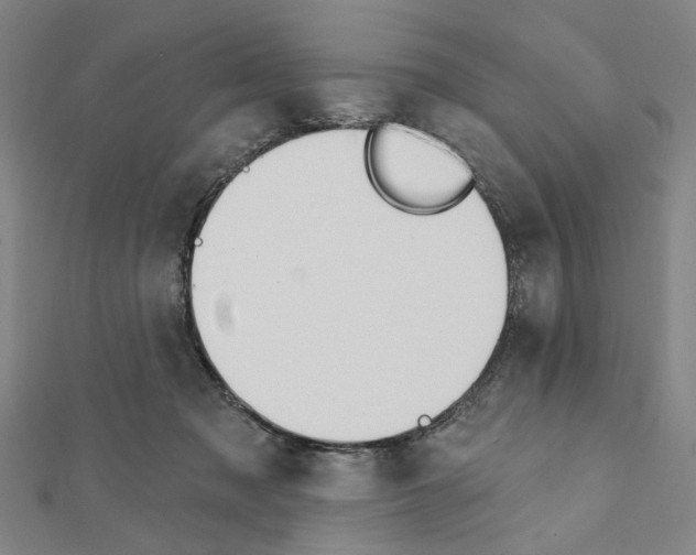 X0000111440317200908241149