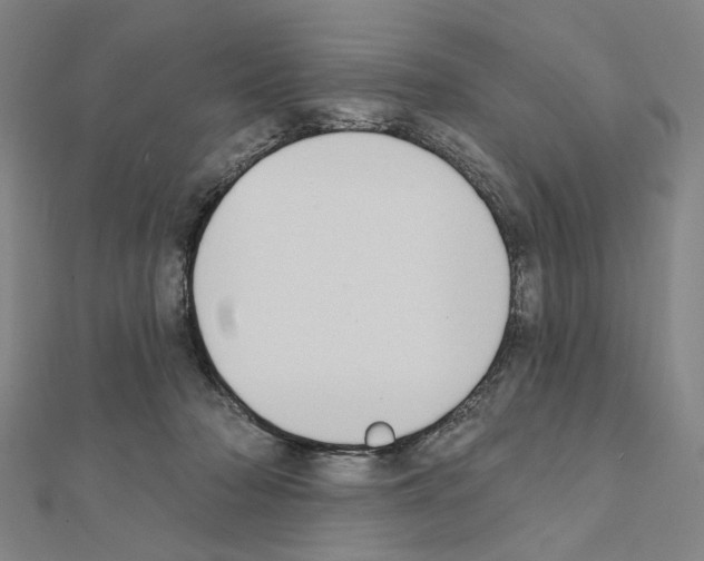 X0000111440318200908241149