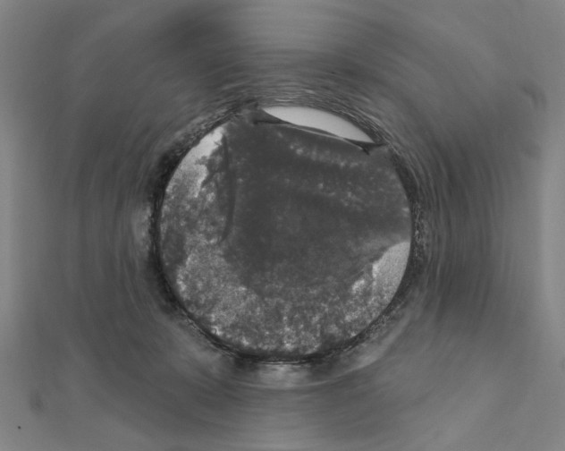 X0000111440319200908241149
