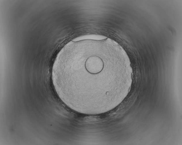 X0000111440320200908241149