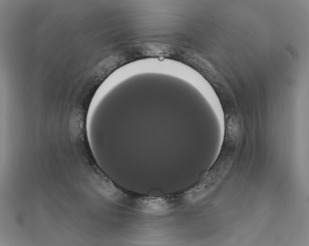 X0000111440322200908241149