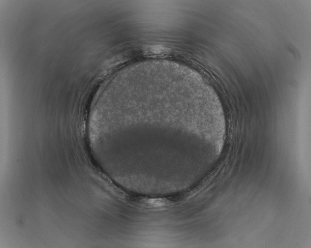 X0000111440324200908241149
