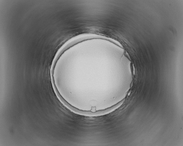 X0000111440325200908241149