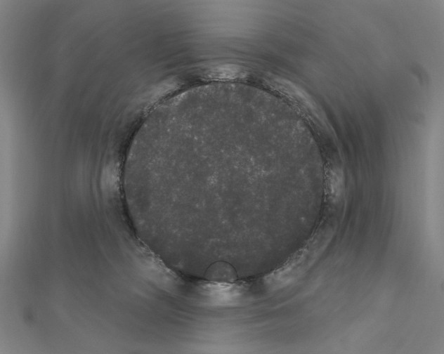 X0000111440326200908241149