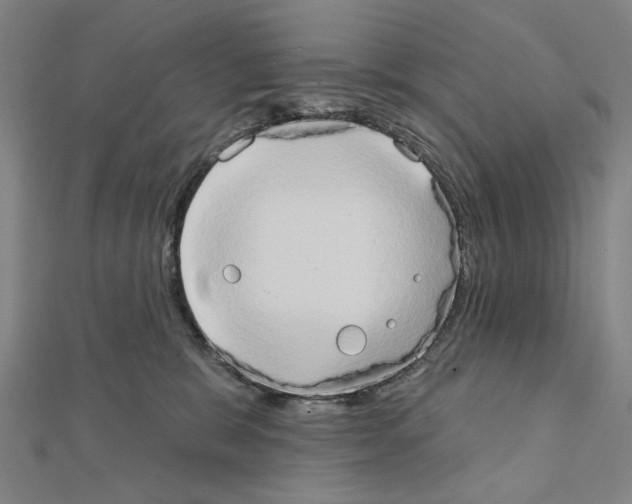 X0000111440327200908241149