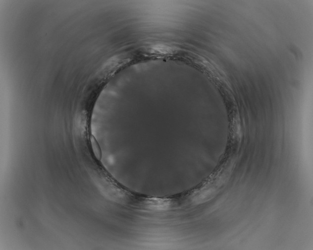 X0000111440328200908241149