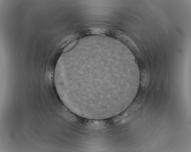 X0000111440329200908241149