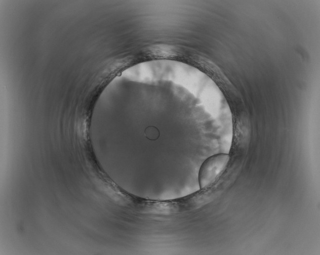 X0000111440330200908241149