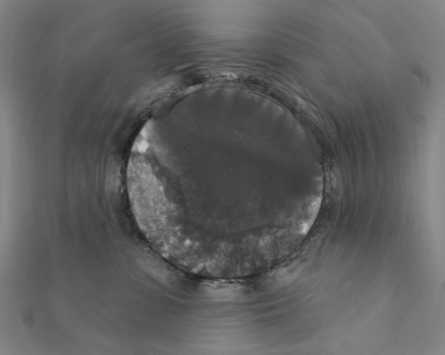 X0000111440331200908241149