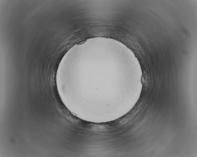 X0000111440332200908241149