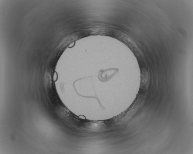 X0000111440333200908241149