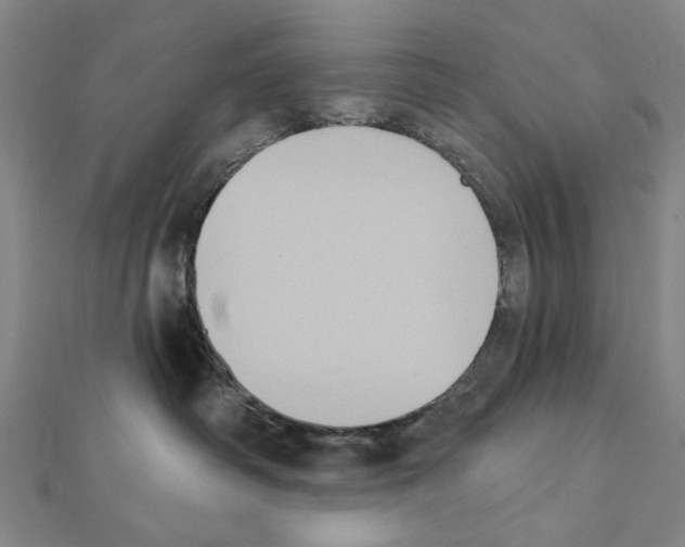 X0000111440334200908241149