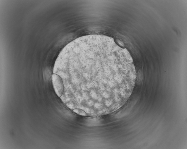 X0000111440335200908241149
