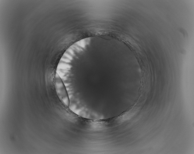 X0000111440336200908241149