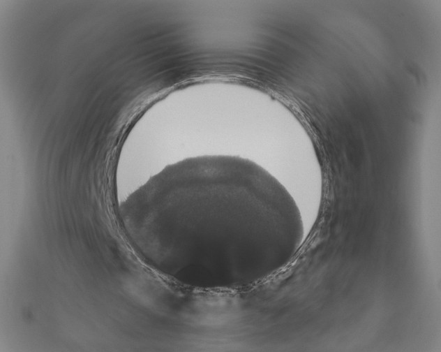 X0000111440337200908241148