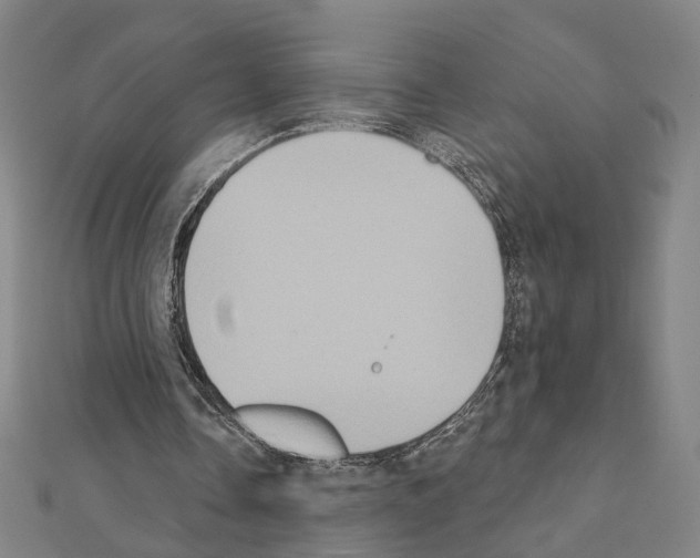 X0000111440338200908241148