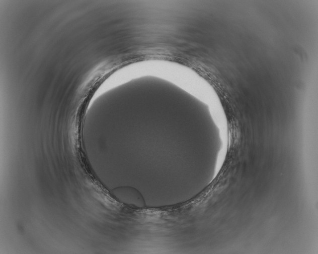 X0000111440339200908241148