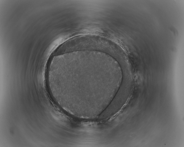 X0000111440340200908241148