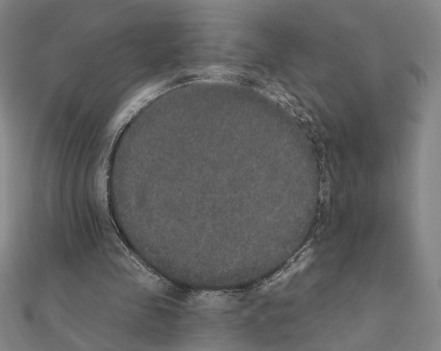 X0000111440341200908241149