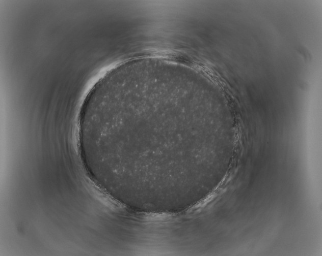 X0000111440342200908241149