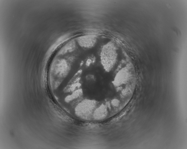 X0000111440343200908241149